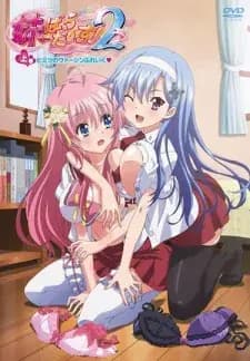 Imouto Paradise! 2 مترجم