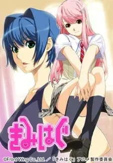 Kimihagu مترجم